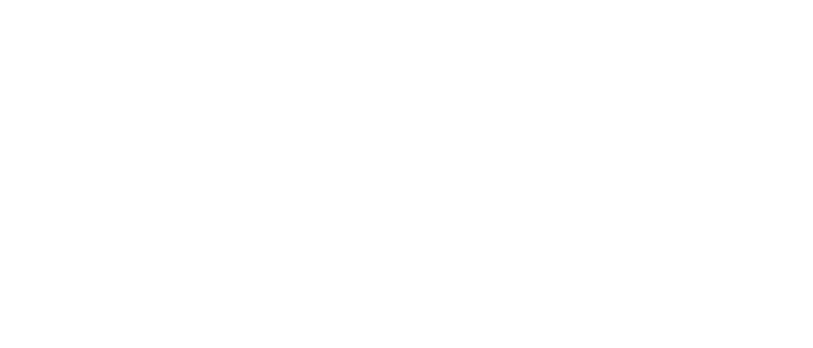 Leiden University